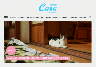 casa 9